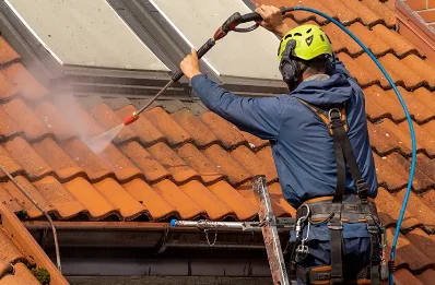 Démoussage et hydrofuge de toiture à Chapet